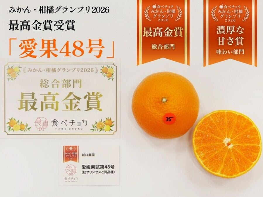 日本柑橘