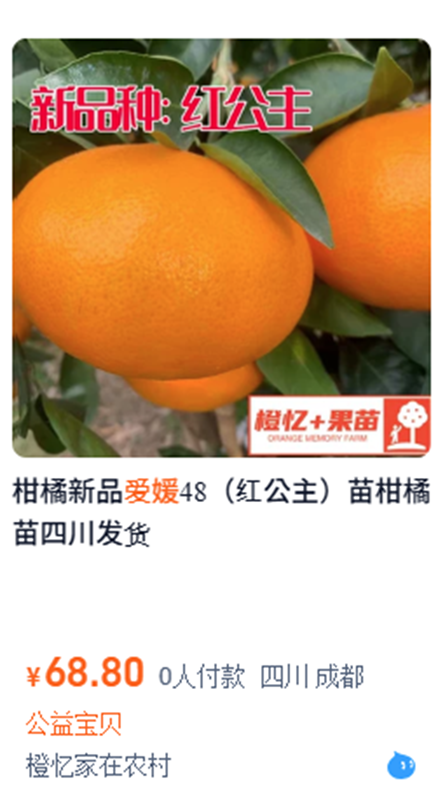 日本柑橘