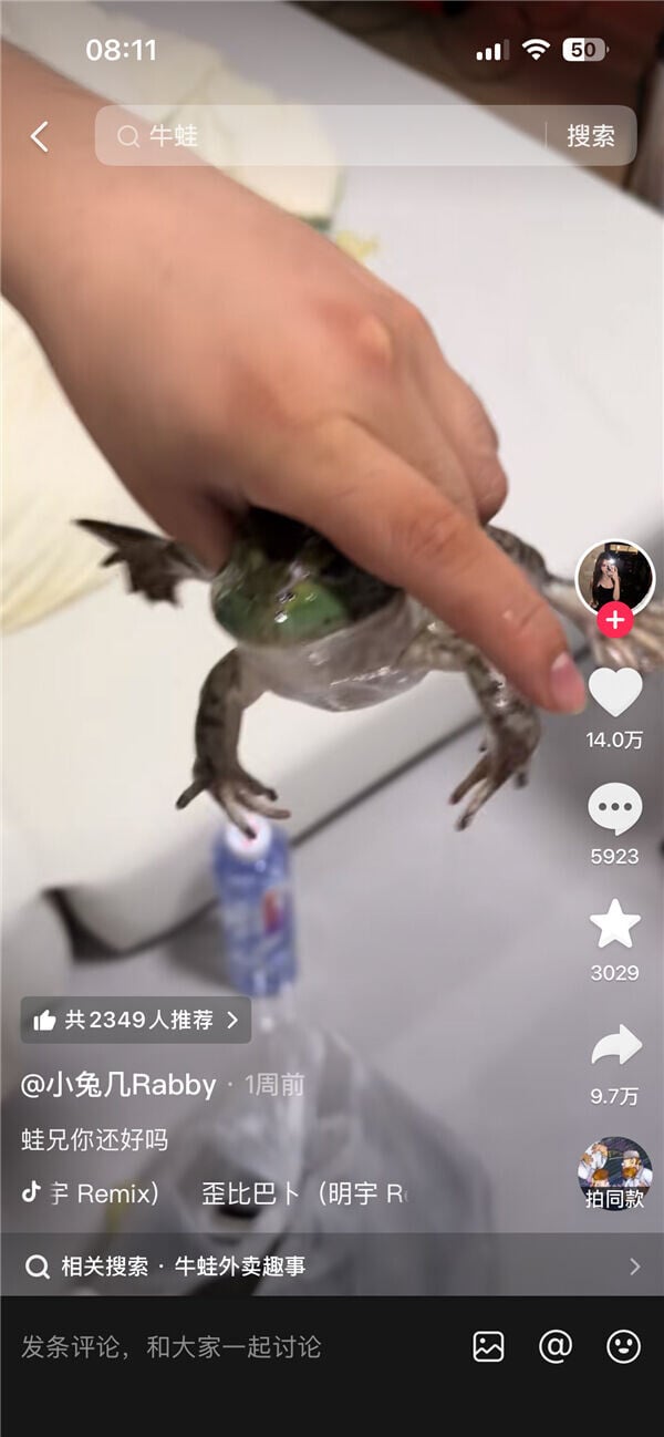 事主收到一袋生猛的牛蛙,哭笑不得