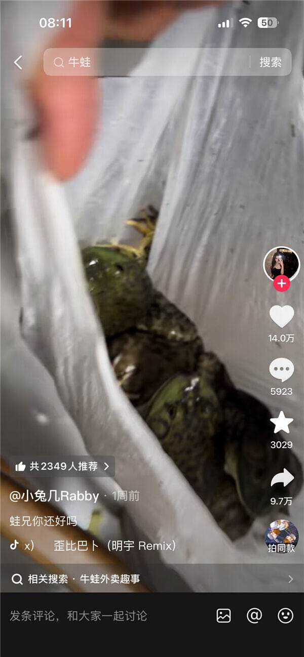 事主收到一袋生猛的牛蛙,哭笑不得