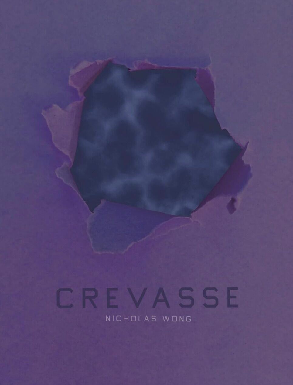 Birdsong Crevasse by Nicholas Wong