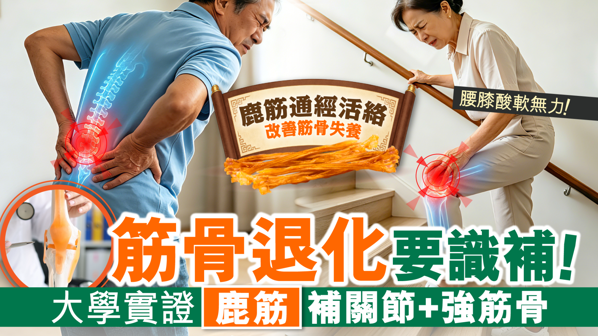 腰膝酸軟無力！筋骨退化要識補！大學實證「鹿筋」有效改善關節痛 強筋骨對抗退化
