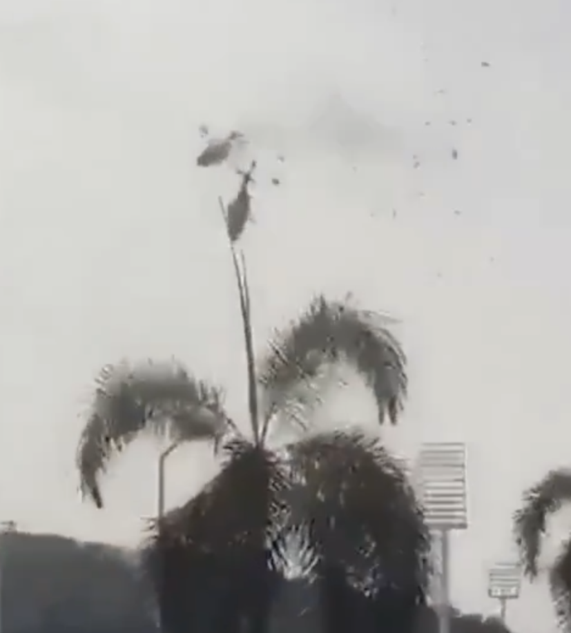 巴西傳媒報道,美國唱作歌手Oliver Tree在里約熱內盧遭遇直升機相撞意外身亡,終年32歲