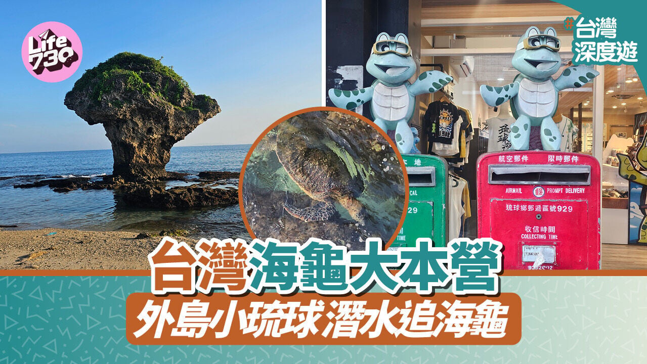 台灣深度遊｜台灣外島小琉球 海龜大本營潛水攻略 見面率超高！