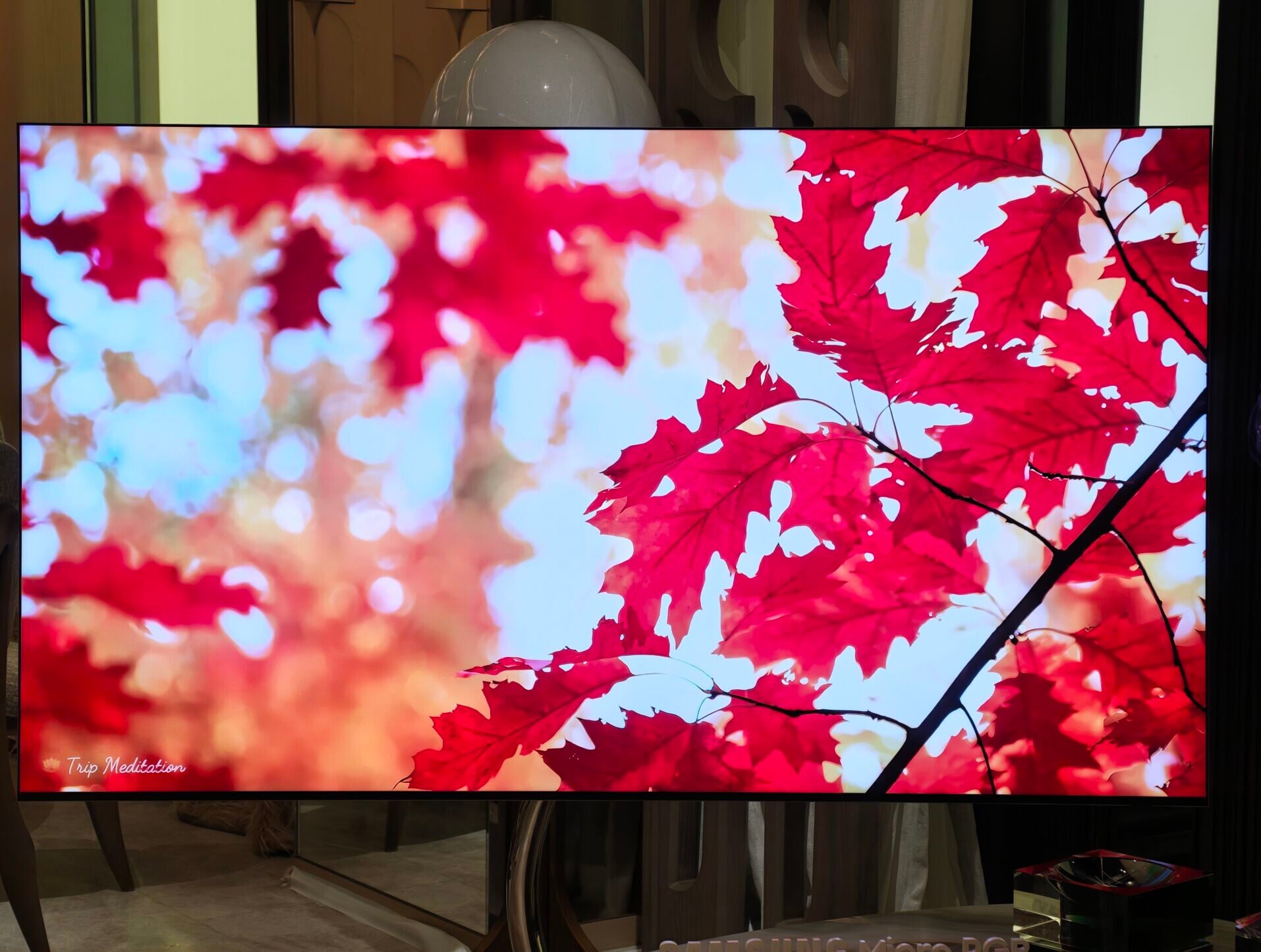 Samsung Micro RGB R95H電視可呈現鮮明及有層次的紅色。