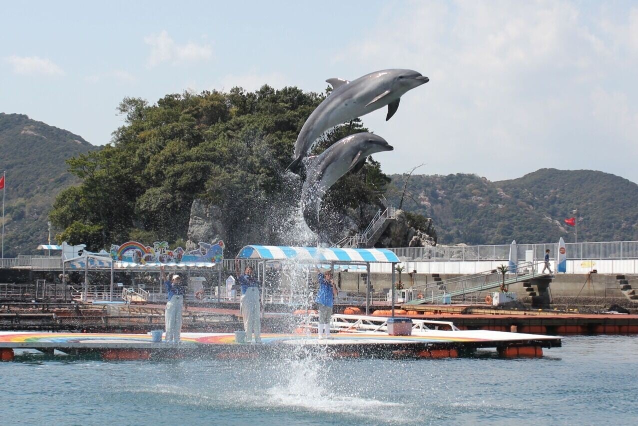 津久見海豚島1