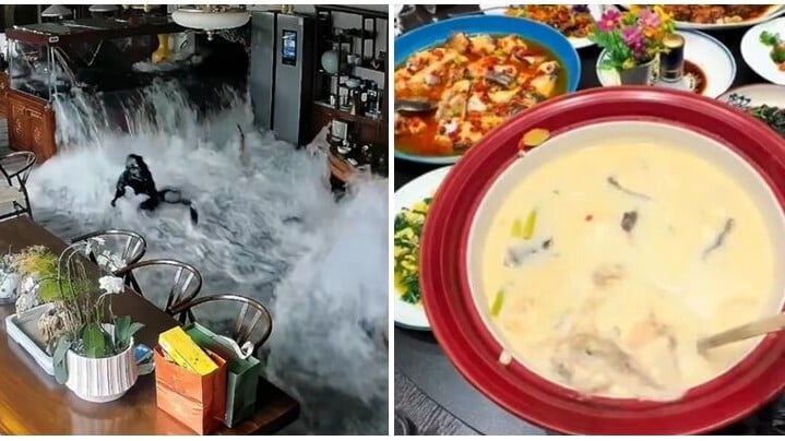 江蘇無錫一辦公室使用5年多的大型魚缸突然爆裂，缸內價值30多萬元人民幣的多種名貴觀賞魚全部死亡。魚缸主人惋惜又無奈地表示：「只能做成魚頭湯了。」(影片截圖)