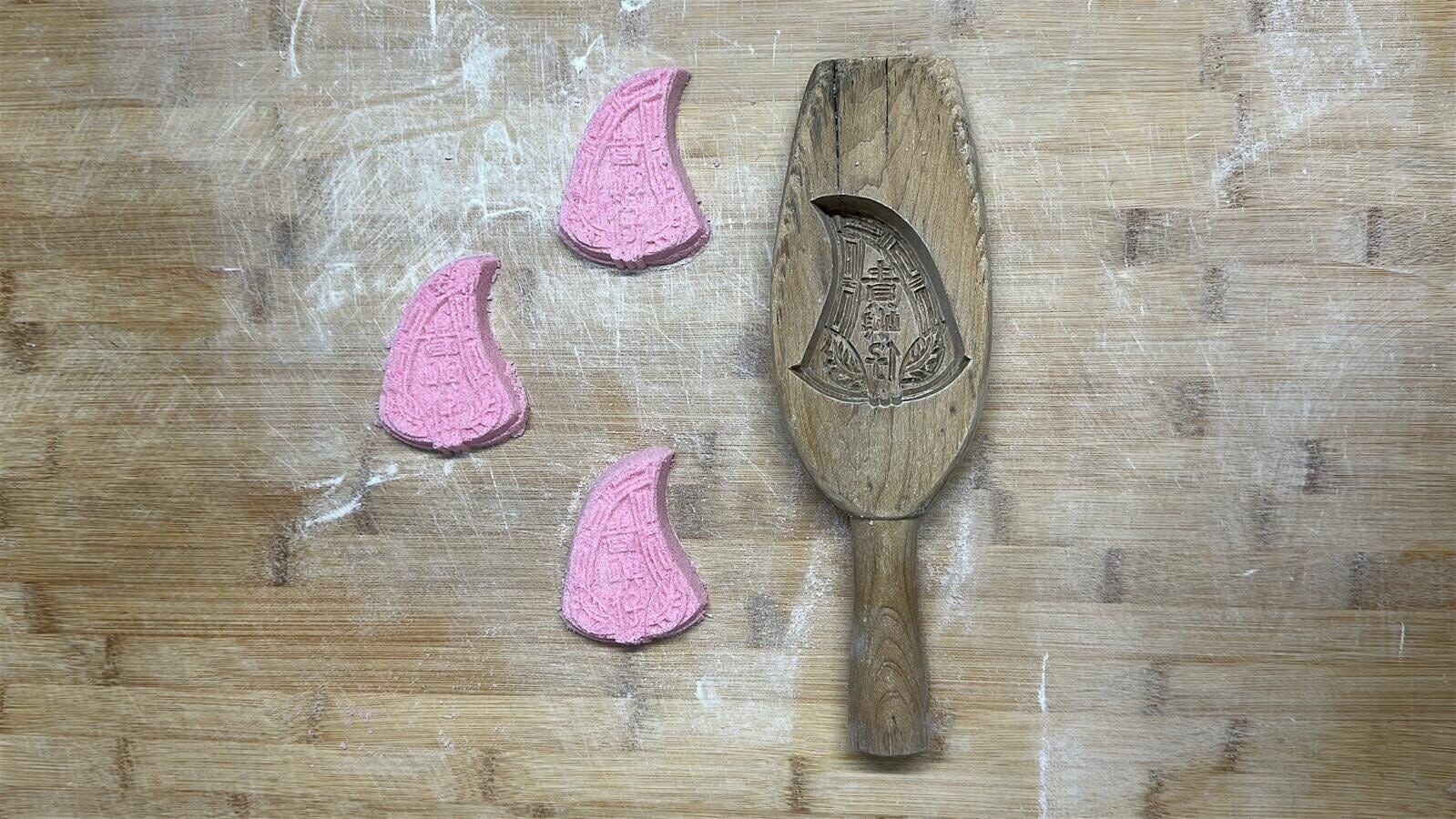 照片由楊子儀博士提供