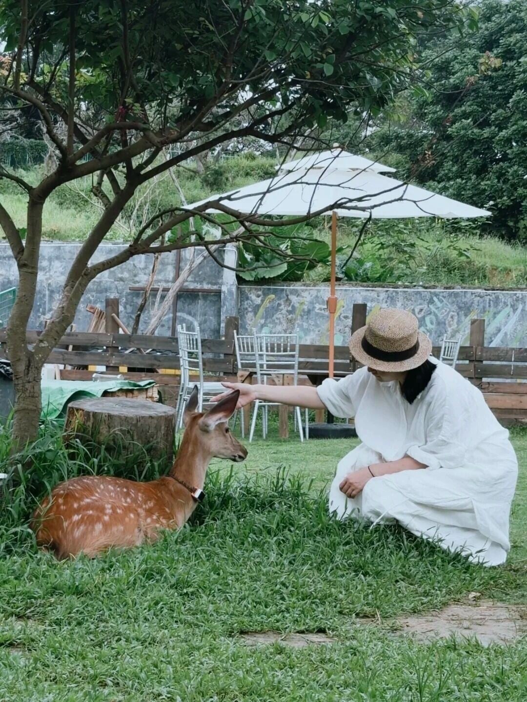 親親小動物(相片來源:小紅書@空蟬)
