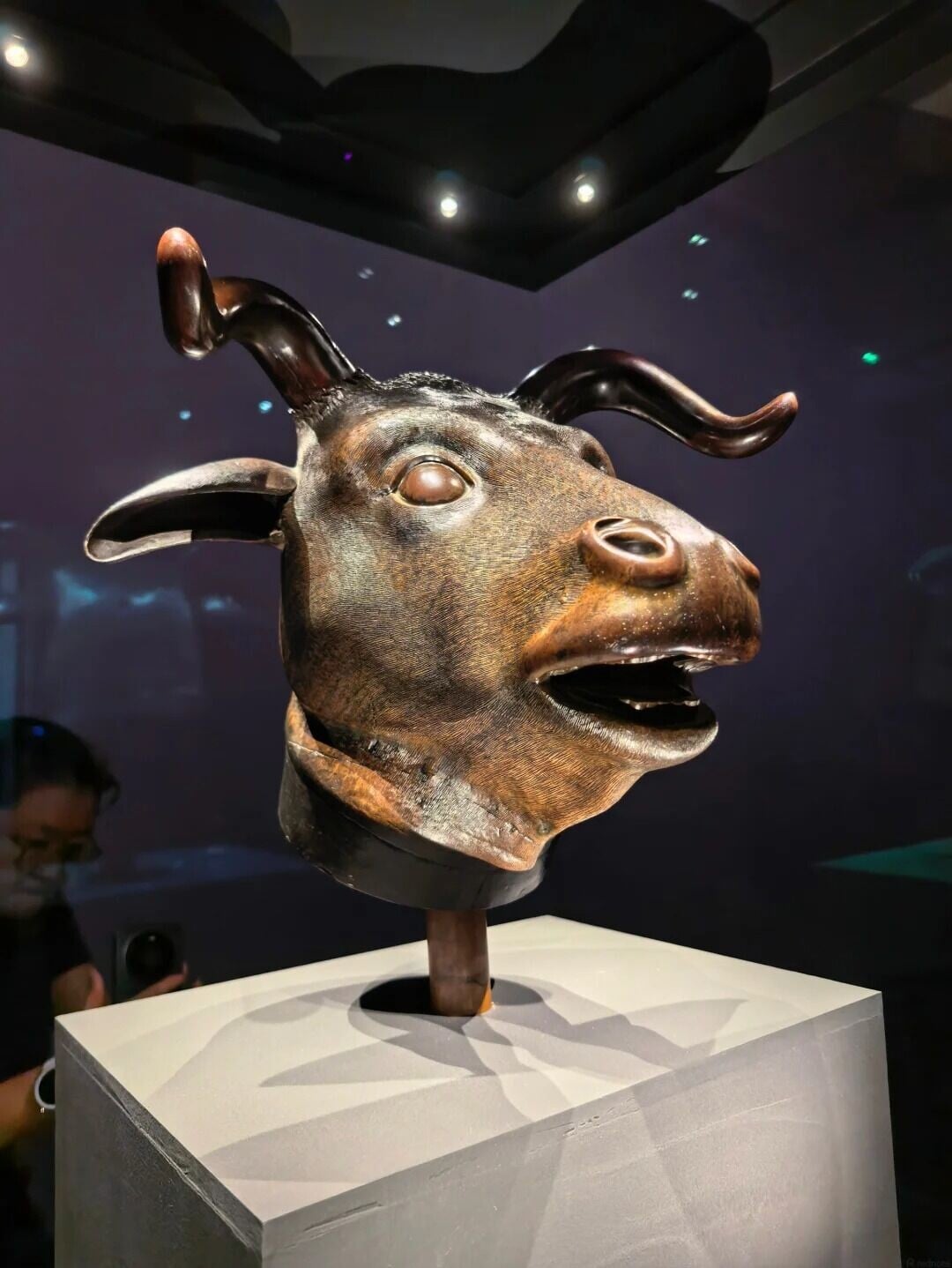 深圳国际美术馆 圆明园国宝兽首归来特展 3 爱好感人的麻吉 来自小红书网页版