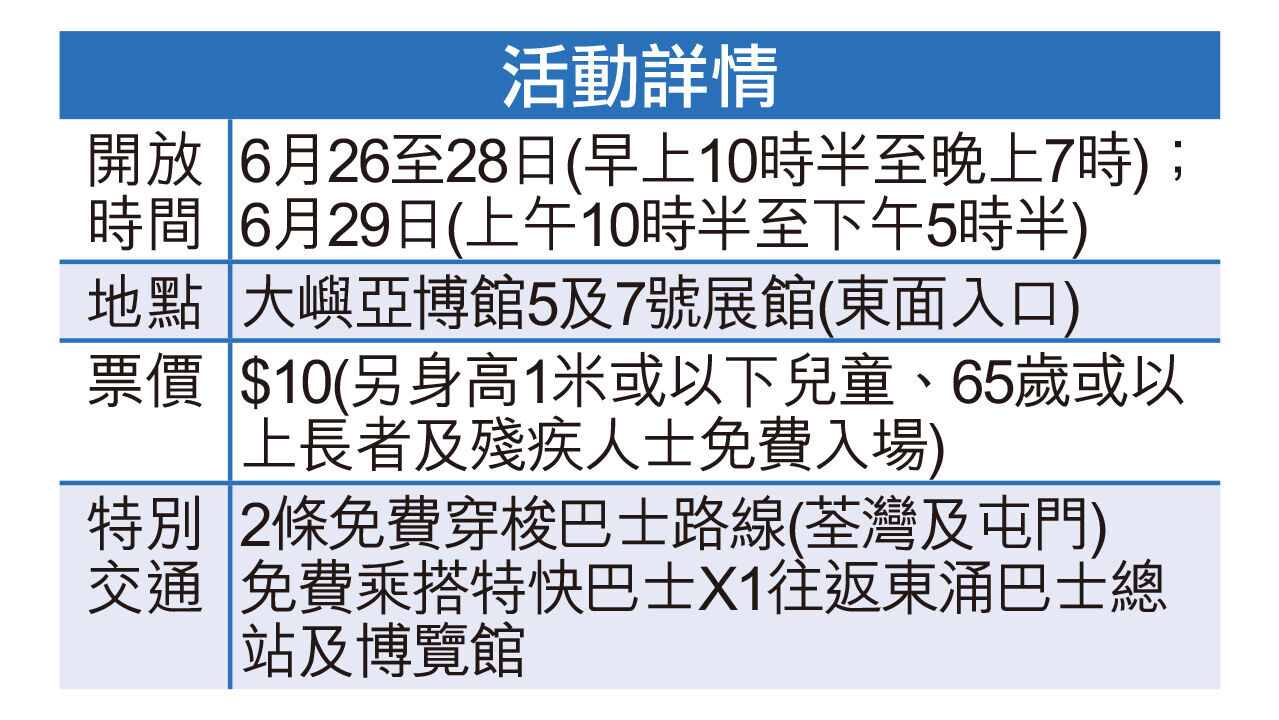 A13 表