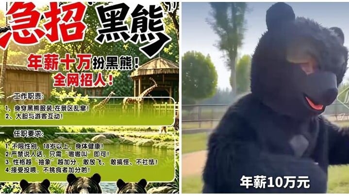 河南省漯河野生動物園近日發布一則廣告，招聘「黑熊扮演者」，年薪達10萬元人民幣（下同），需穿上黑熊服裝與遊客互動，工作期間「嚴禁說人話」，只需「嗷嗷叫」即可(網上圖片)