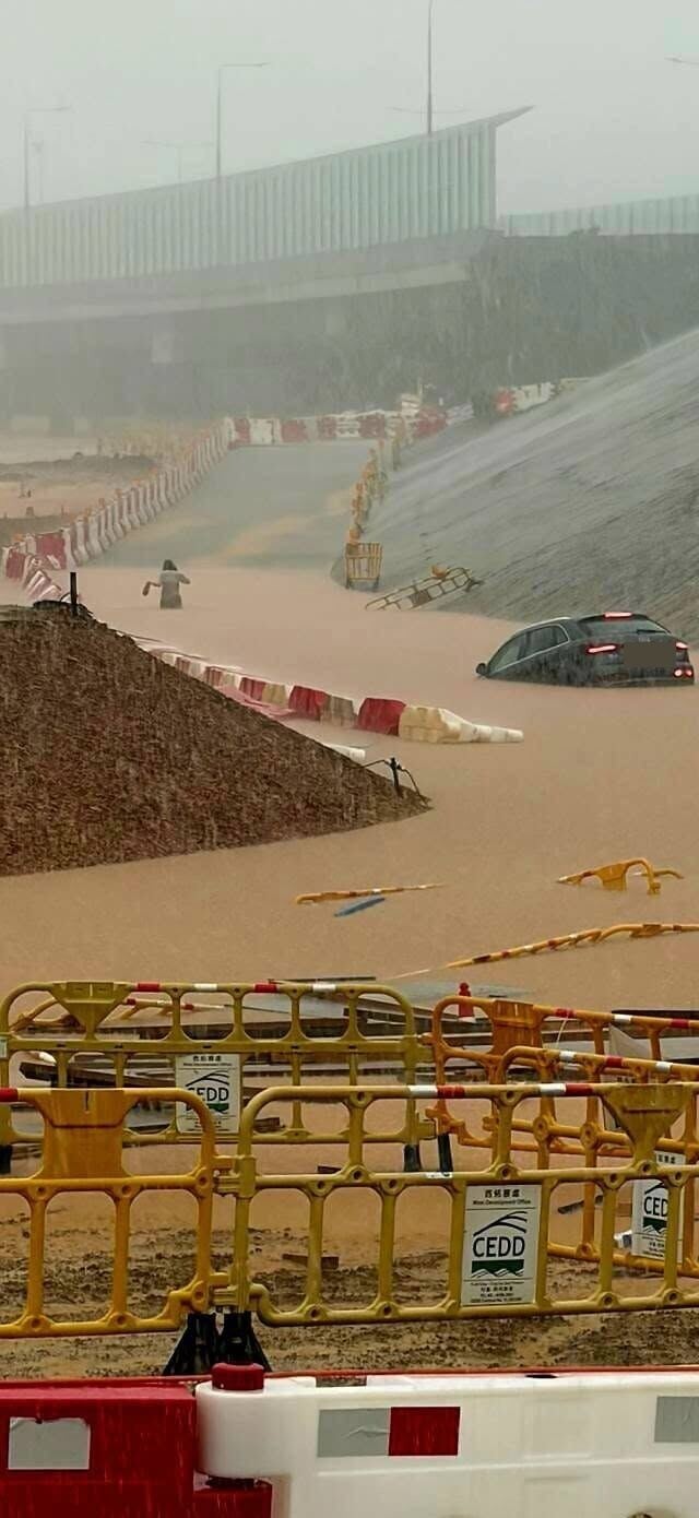 726575662 3871100929725420 497339781115419123 n