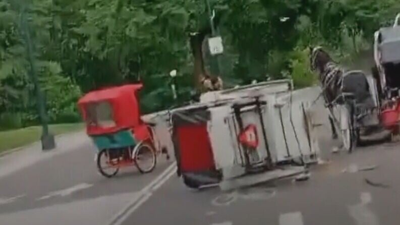 紐約馬車車伕離座影相致失控 18歲印度遊客慘死