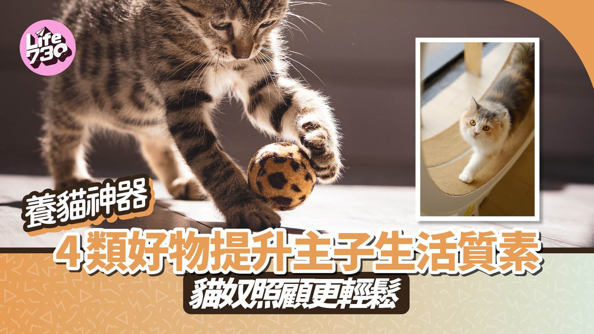 養貓神器｜4類好物提升主子生活質素 貓奴照顧更輕鬆