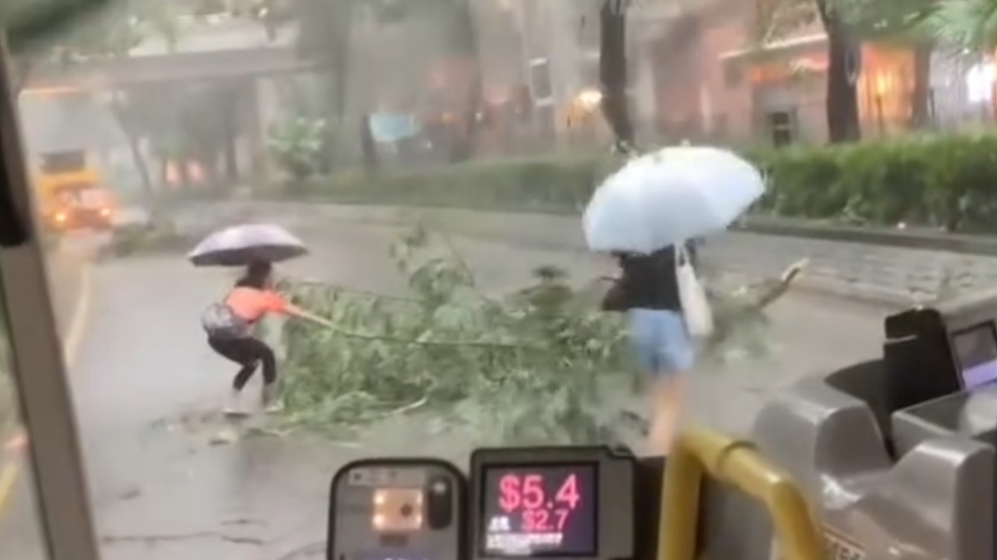 黑雨｜粉嶺花都廣場對出有樹木倒塌橫亙馬路，阻礙巴士行駛。兩名女子乘客自告奮勇撐雨傘下車，徒手合力將倒塌樹木移離行車線，令巴士繼續行程。(Threads)