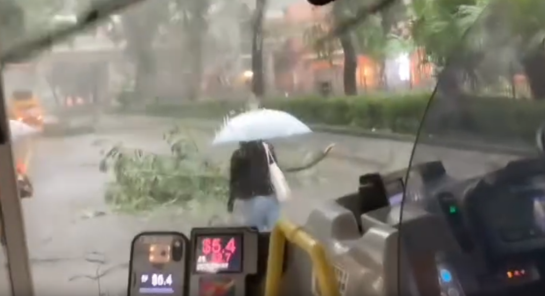 黑雨|粉嶺花都廣場對出有樹木倒塌橫亙馬路,阻礙巴士行駛。兩名女子乘客自告奮勇撐雨傘下車,徒手合力將倒塌樹木移離行車線,令巴士繼續行程。(Threads)