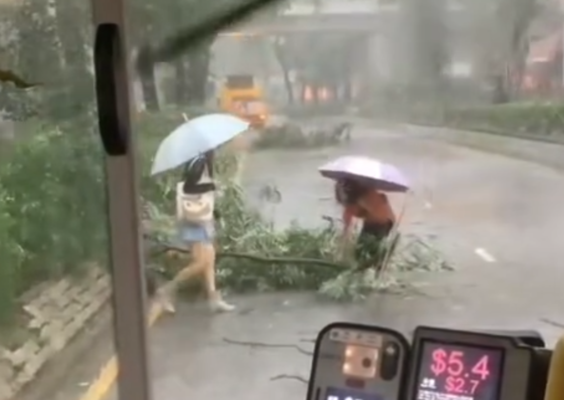 黑雨|粉嶺花都廣場對出有樹木倒塌橫亙馬路,阻礙巴士行駛。兩名女子乘客自告奮勇撐雨傘下車,徒手合力將倒塌樹木移離行車線,令巴士繼續行程。(Threads)