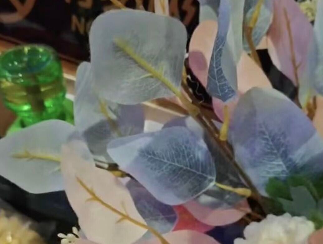 酒店假花內,疑似有偷拍鏡頭