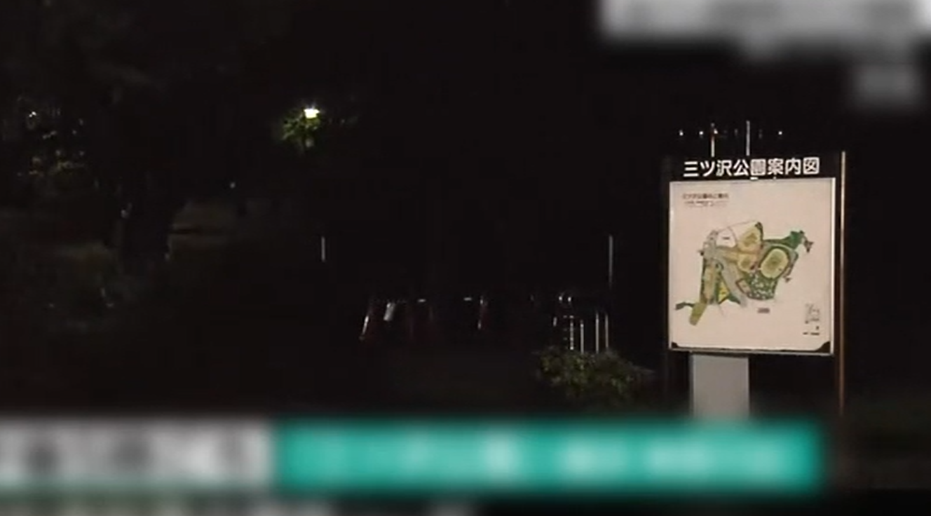 三澤公園驚爆隨機傷人案。(互聯網)
