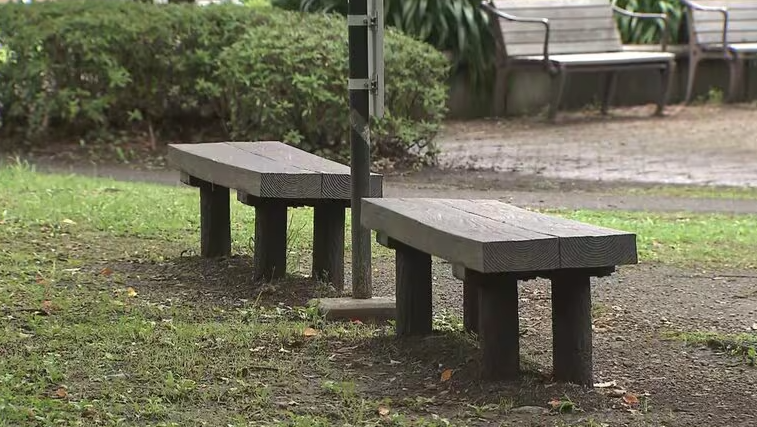 三澤公園驚爆隨機傷人案。(互聯網)