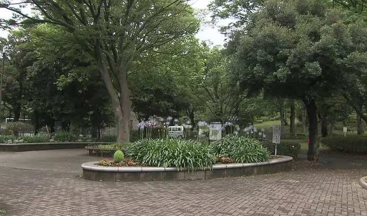 三澤公園驚爆隨機傷人案。(互聯網)
