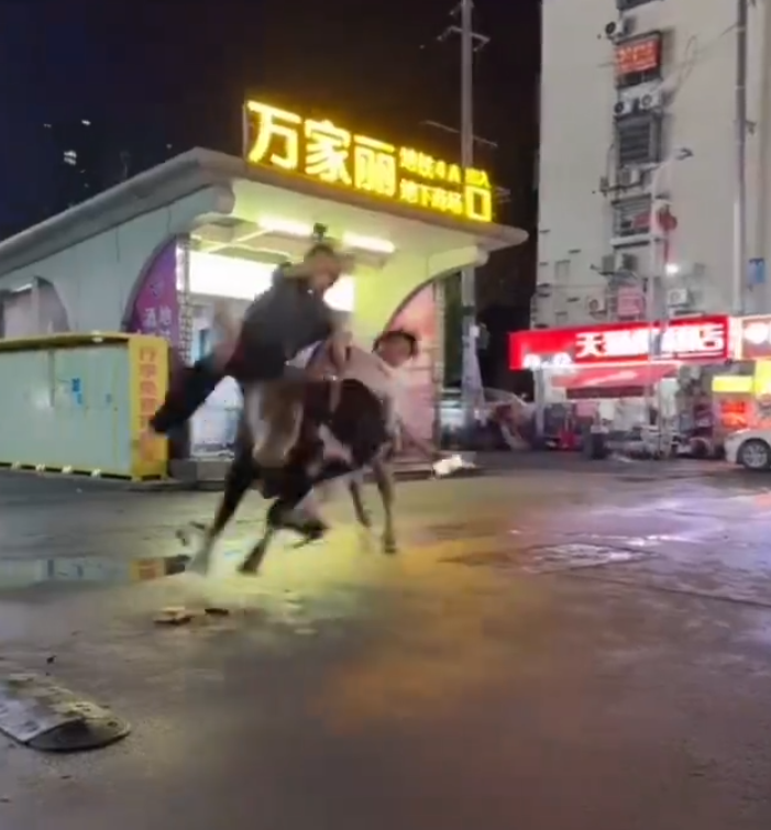湖南長沙有一隻黃牛疑受驚失控,從批發市場衝出後在街頭撞傷3名行人,路人慌忙走避。(影片截圖)