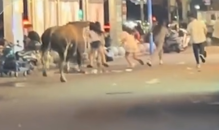 湖南長沙有一隻黃牛疑受驚失控,從批發市場衝出後在街頭撞傷3名行人,路人慌忙走避。(影片截圖)