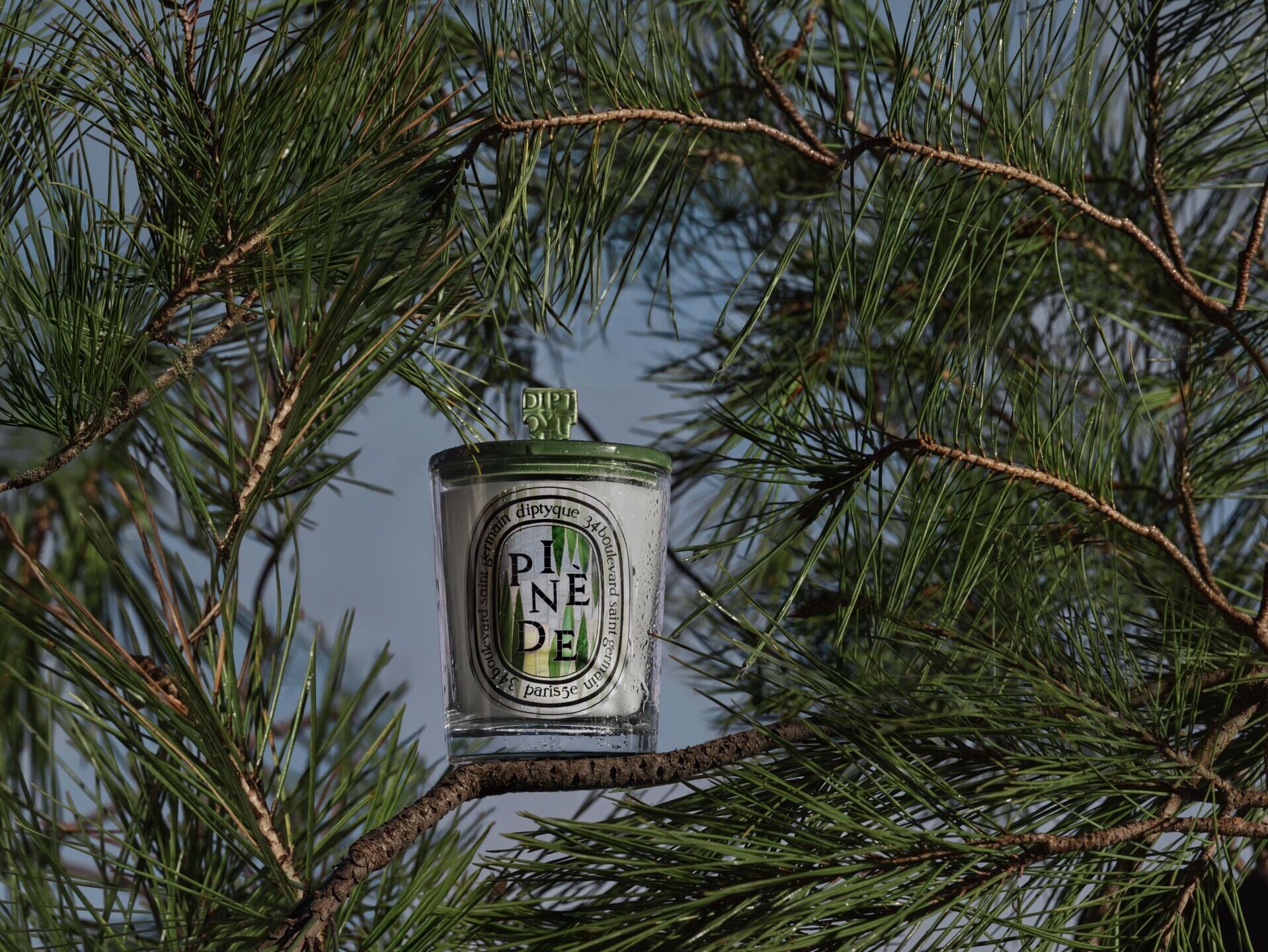 Diptyque Summer 2026 Collection Multi Products PINDE Classic Candle 190G Lid 11648x8736