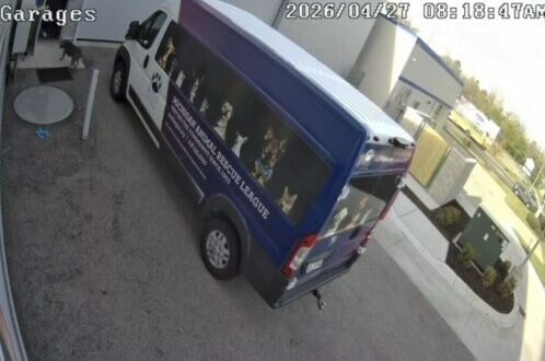 職員打開車庫大門後,該隻狗狗沒有絲毫猶豫,直接走進收容所裡。(TikTok)