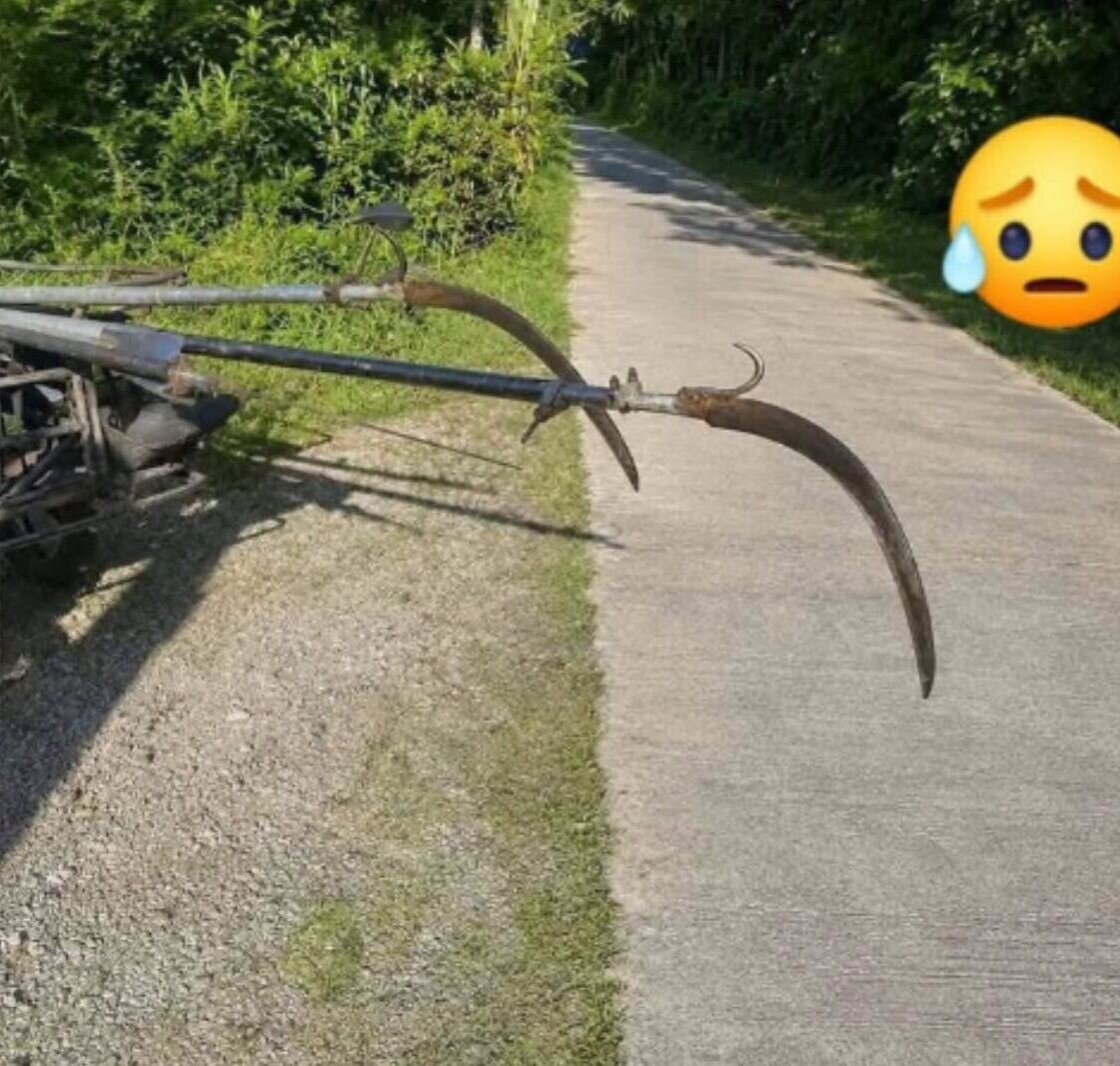 泰國車禍