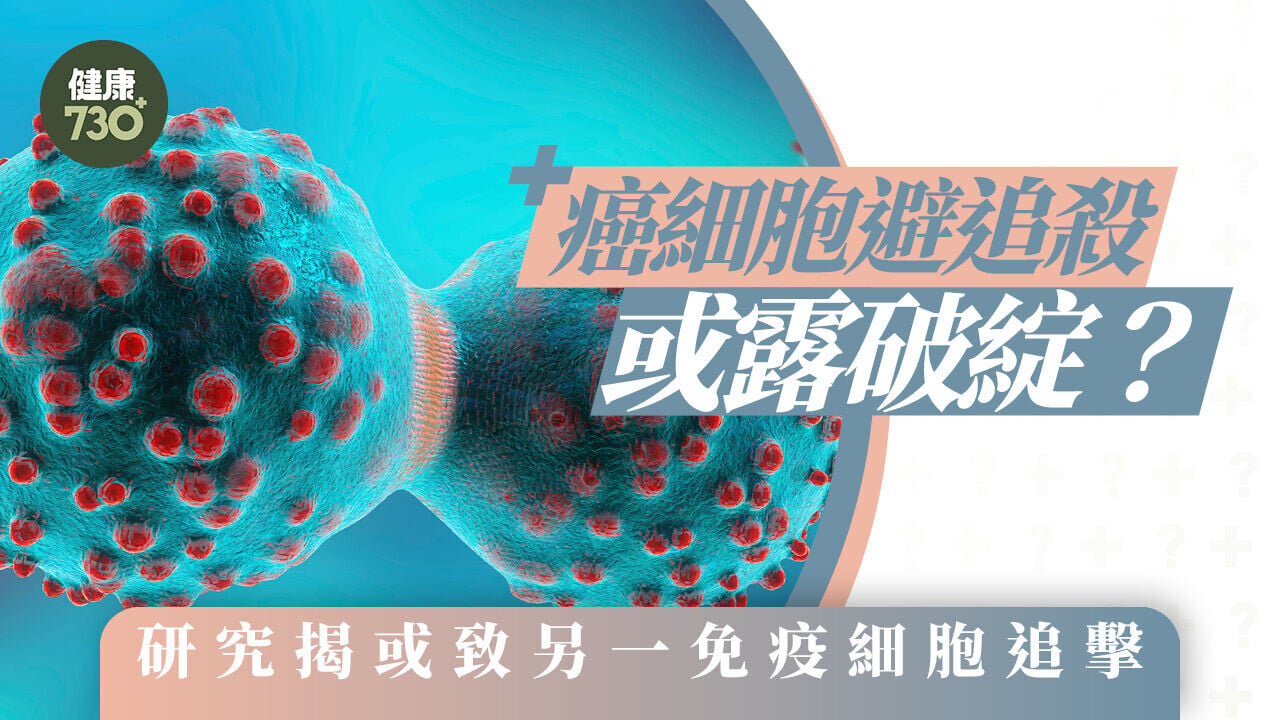 癌細胞避追殺或露破綻？研究揭或致另一免疫細胞追擊