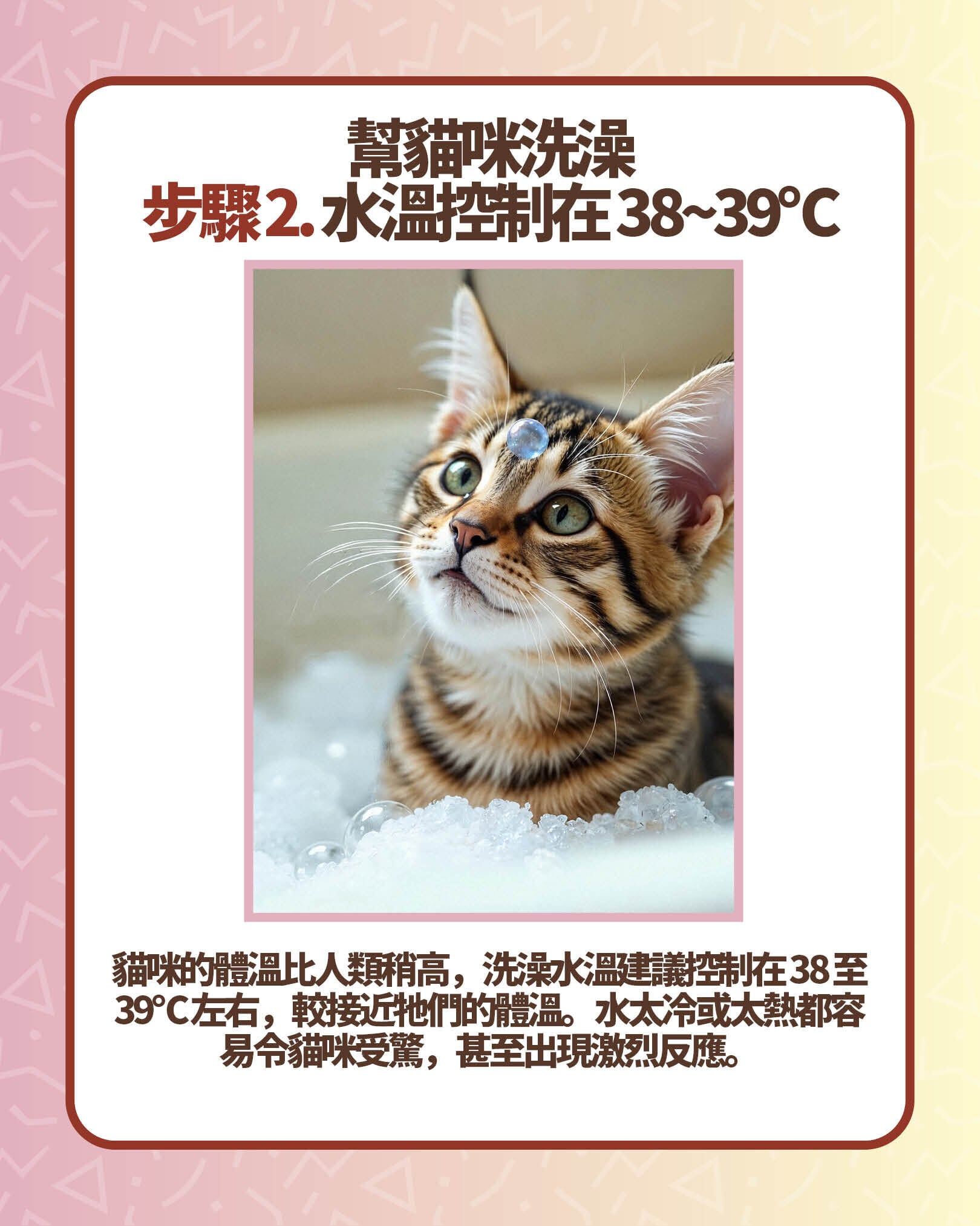 幫貓咪洗澡步驟2. 水溫控制在 38~39℃