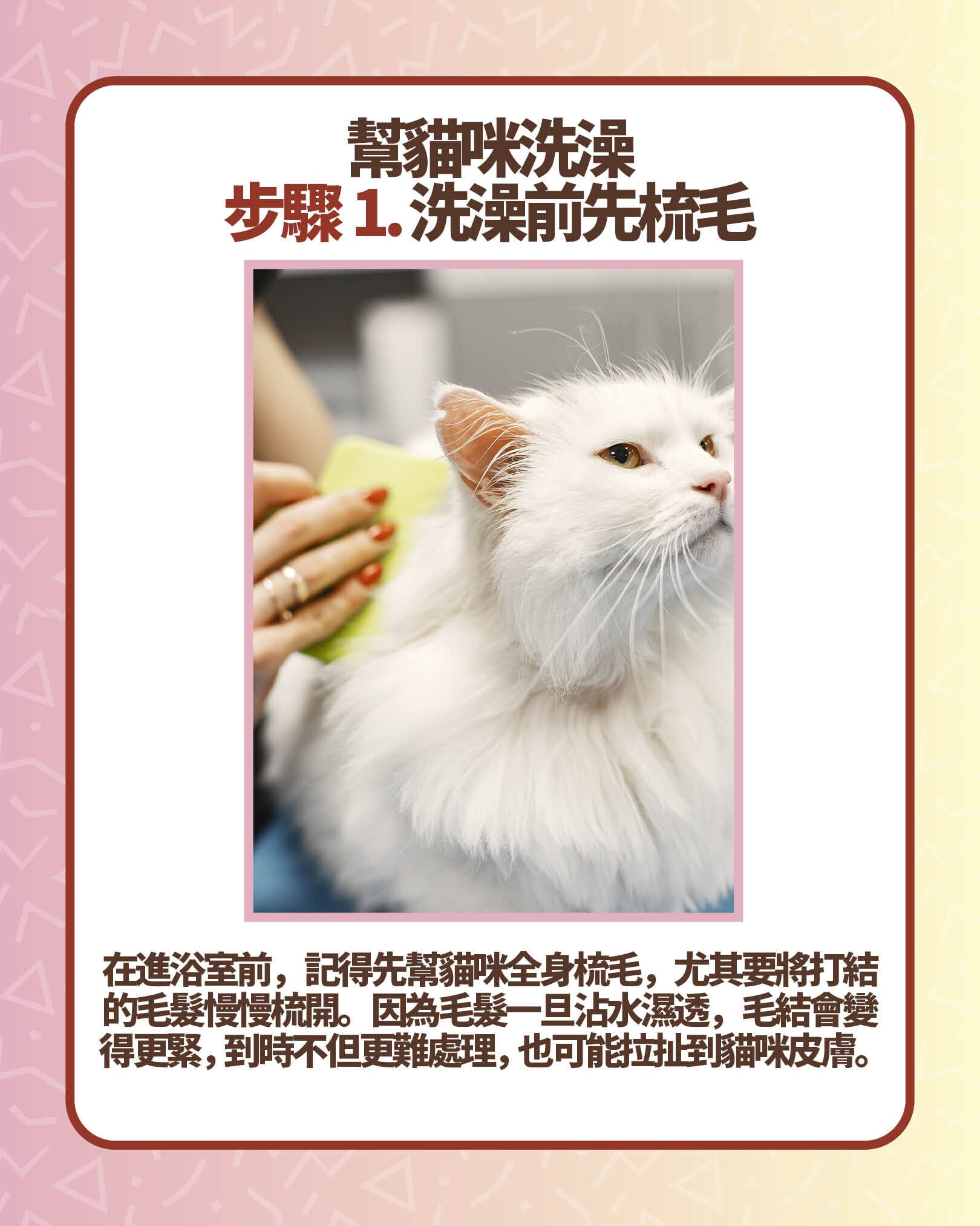 幫貓咪洗澡步驟1. 洗澡前先梳毛