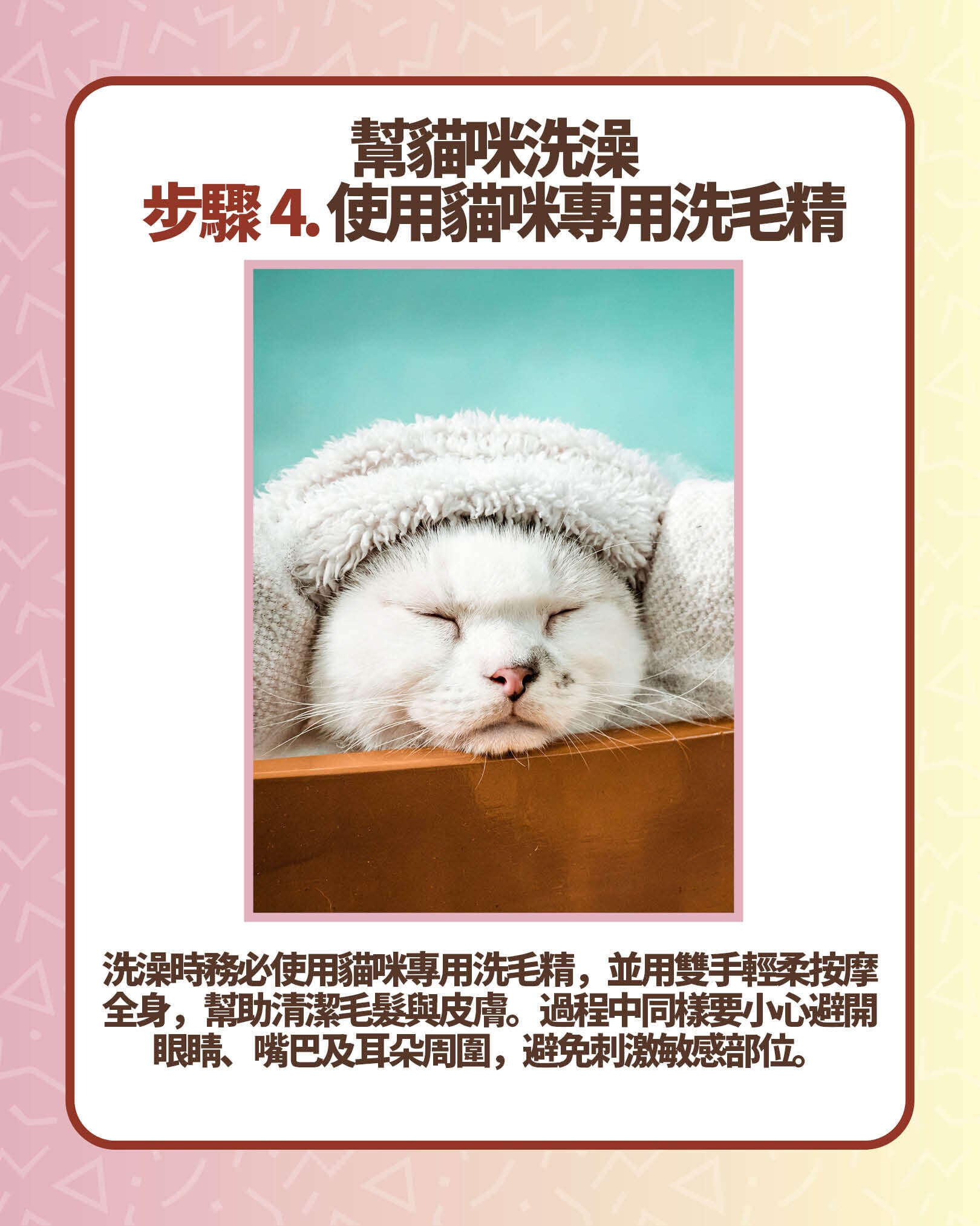 幫貓咪洗澡步驟4. 使用貓咪專用洗毛精