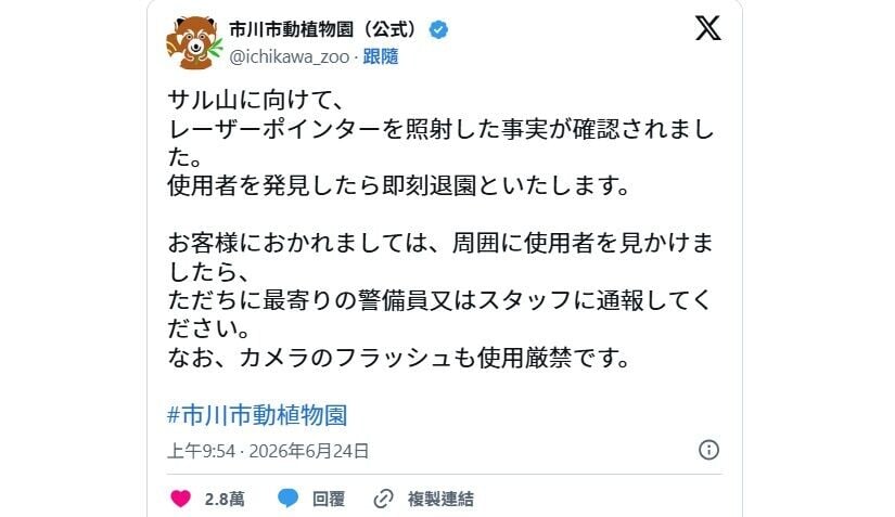 日本孤獨小猴Punch