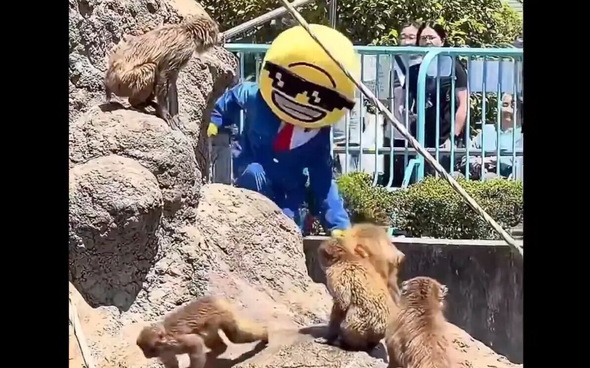 日本孤獨小猴Punch
