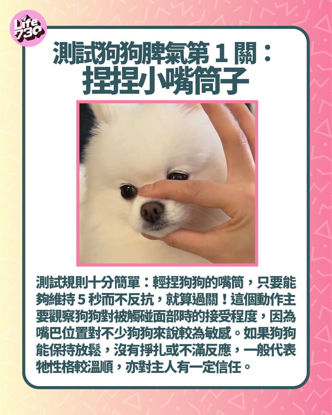 測試狗狗脾氣第1關:捏捏小嘴筒子