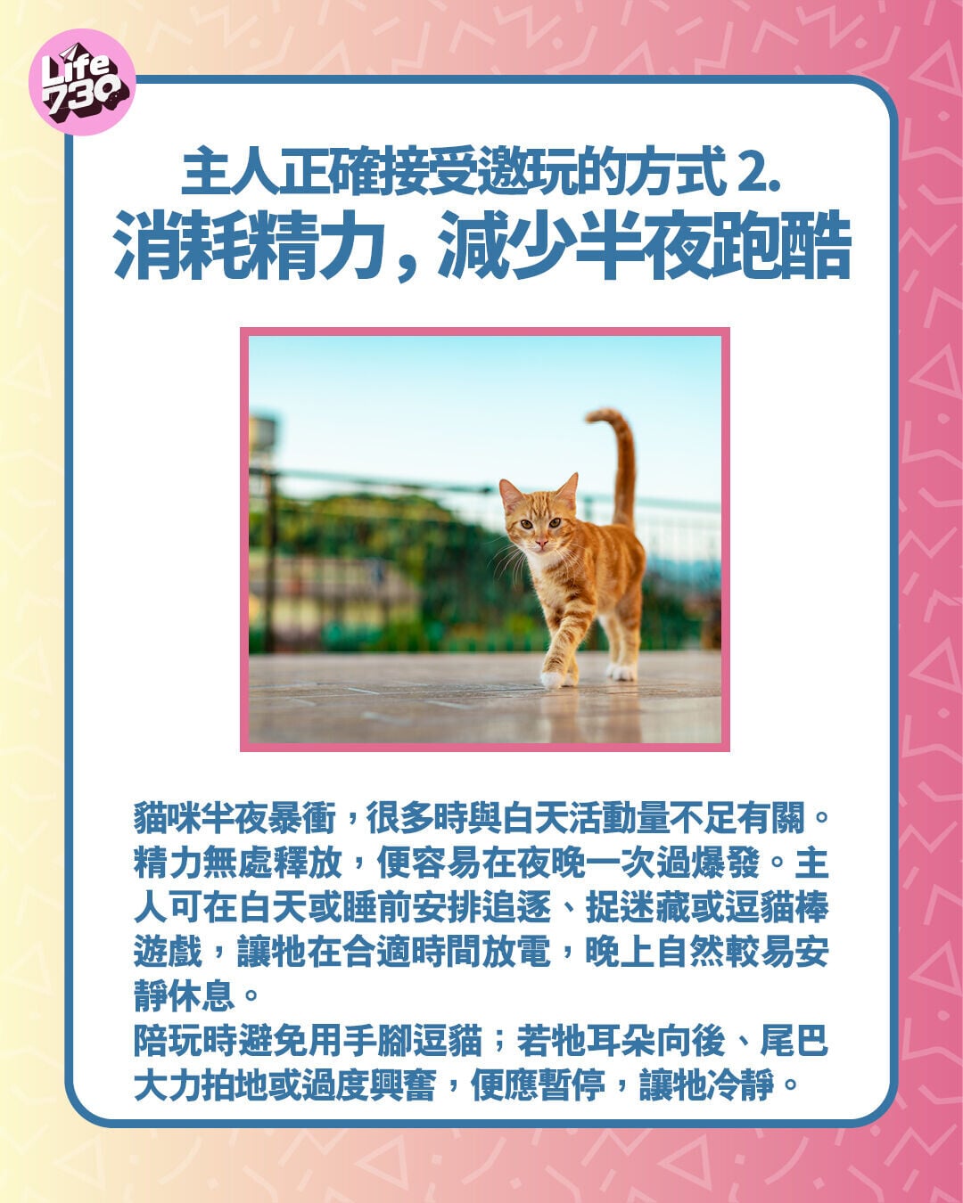主人正確接受邀玩的方式2. 消耗精力,減少半夜跑酷