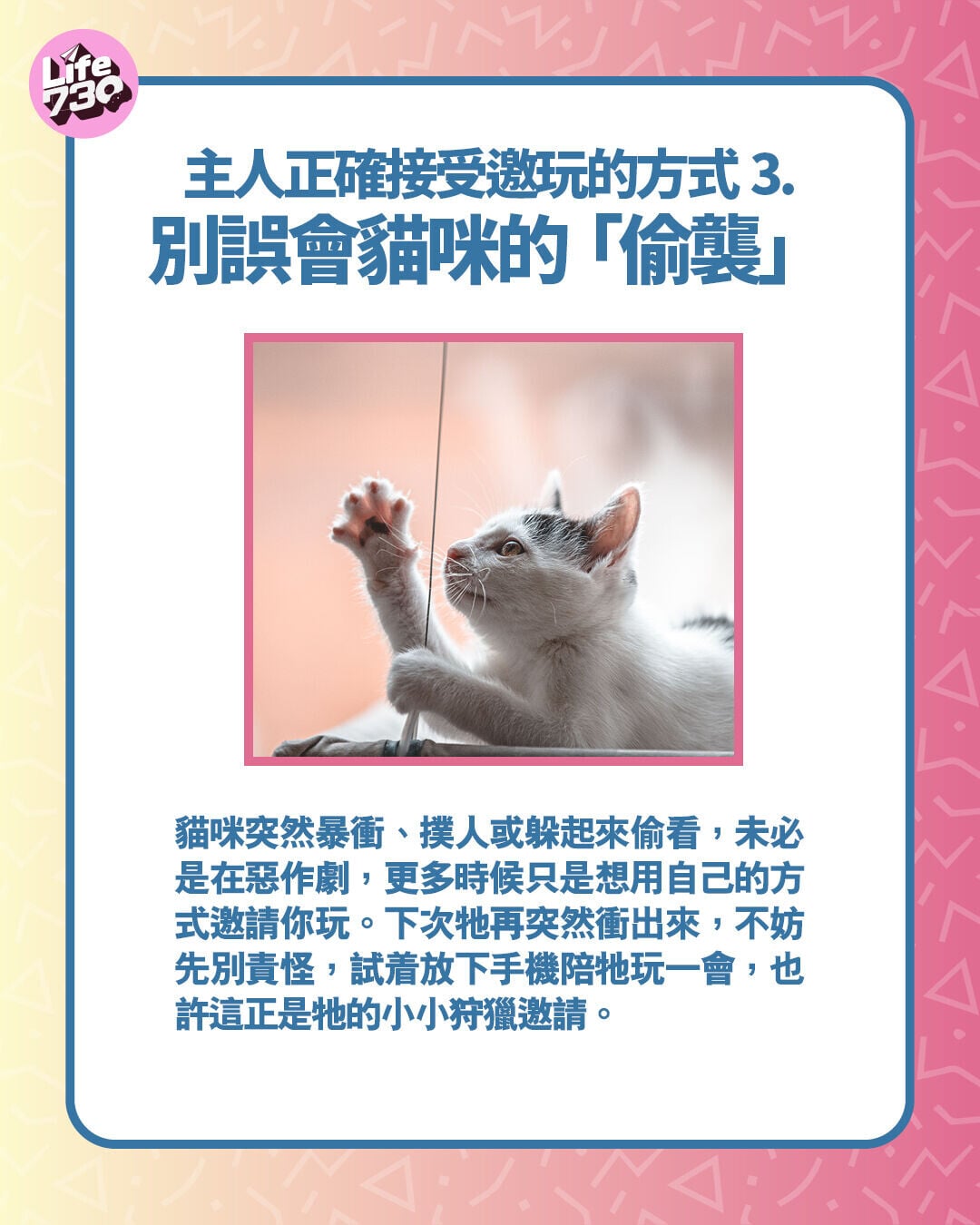 主人正確接受邀玩的方式3. 別誤會貓咪的「偷襲」