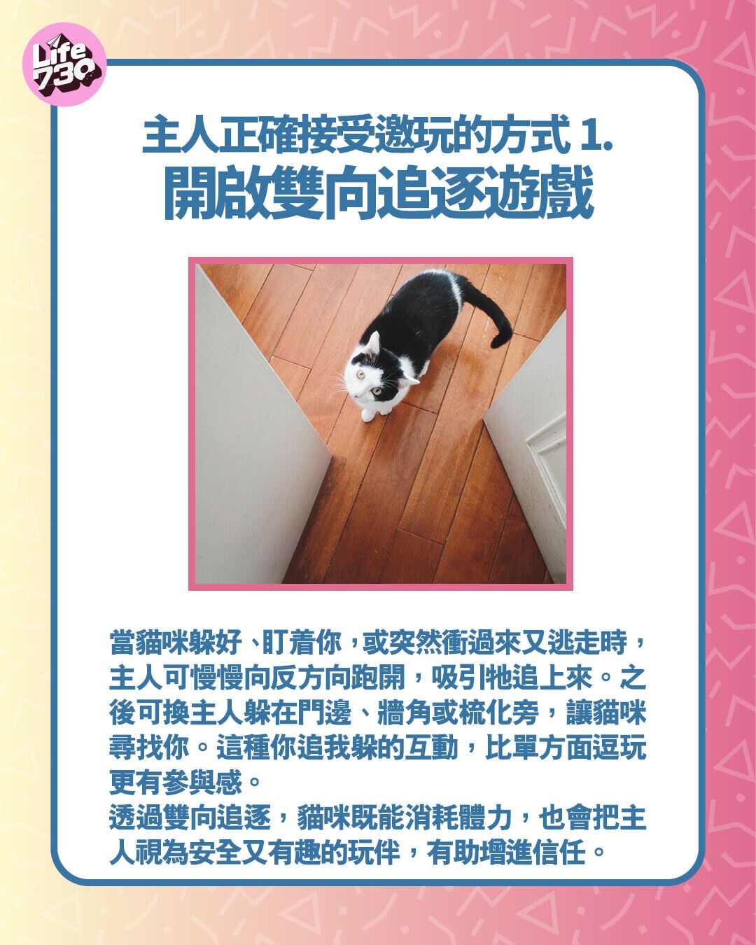 主人正確接受邀玩的方式1.開啟雙向追逐遊戲