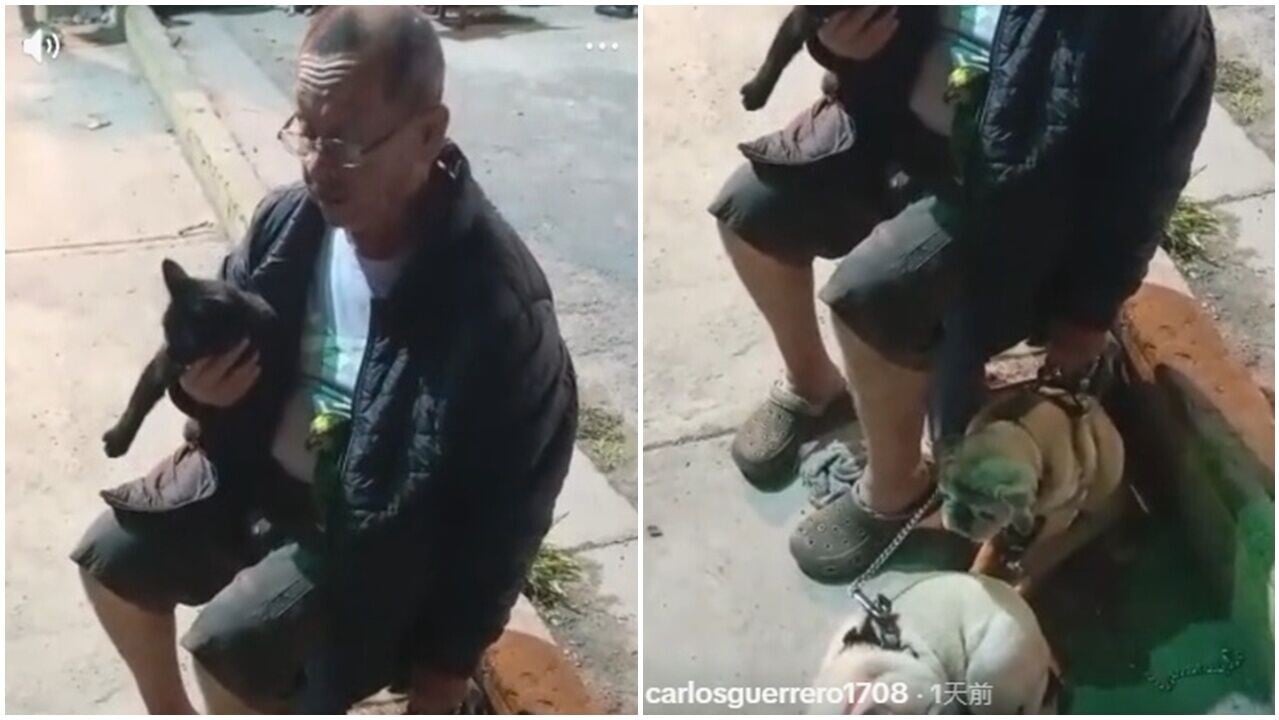 委內瑞拉地震，伯伯果斷帶家人逃生，兩隻狗狗、貓咪和鸚鵡一個不漏。(TikTok)