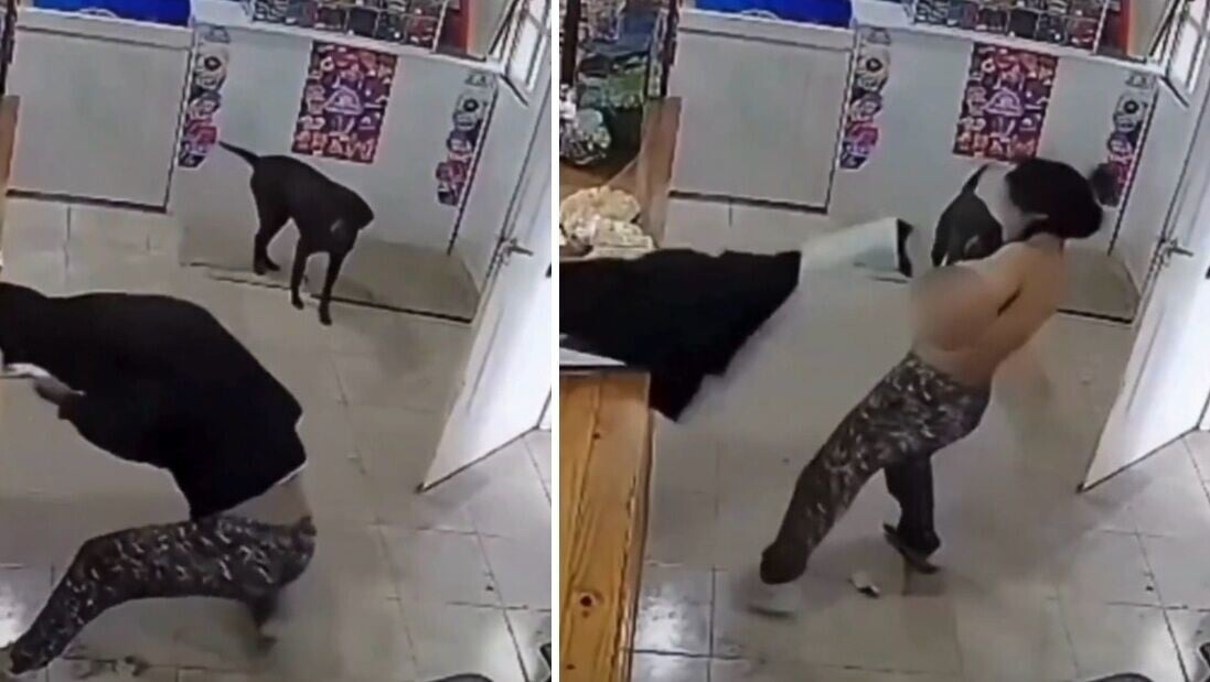 阿根廷偷竊案