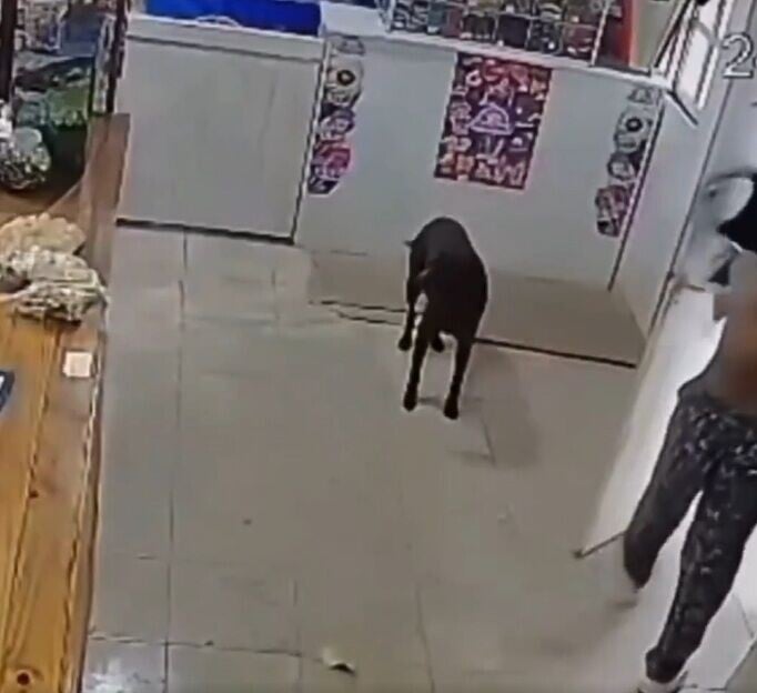 阿根廷偷竊案