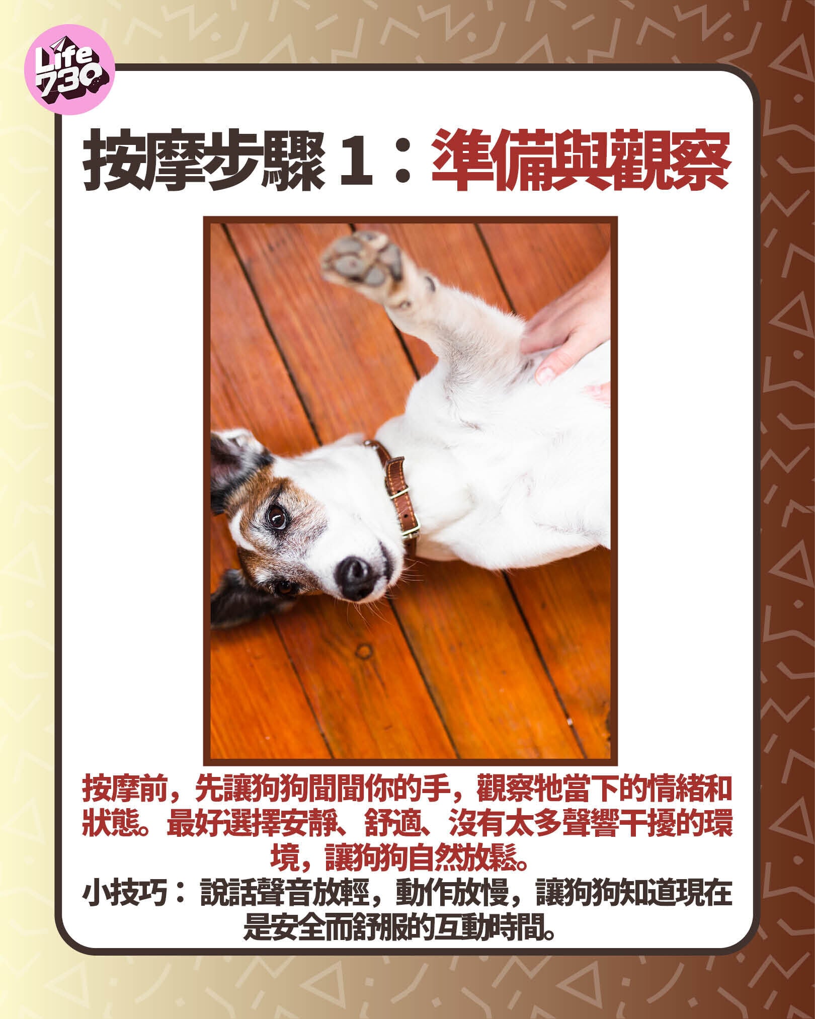 按摩步驟1:準備與觀察