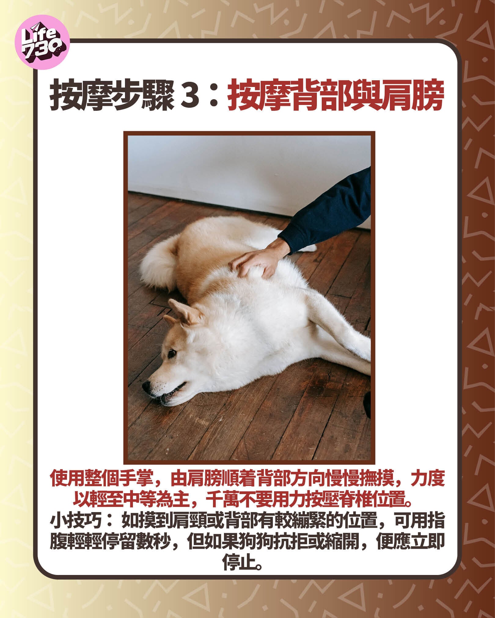 按摩步驟3:按摩背部與肩膀