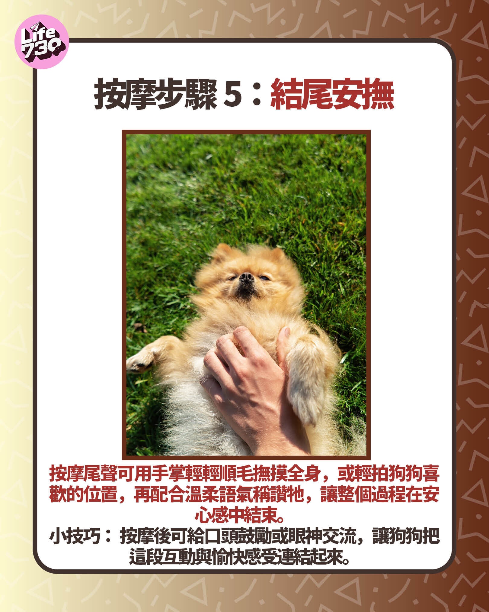 按摩步驟5:結尾安撫