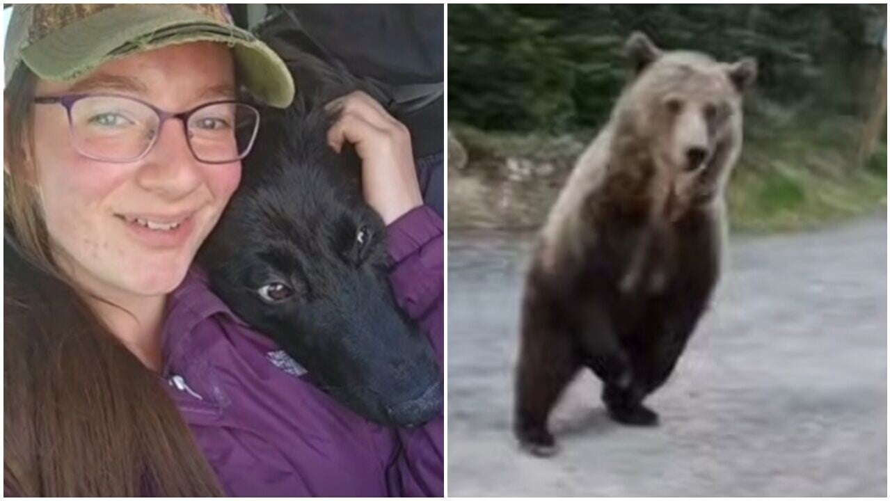 手無寸鐵撞正灰熊追撲，生死之間女子誓保愛犬安全。(X)