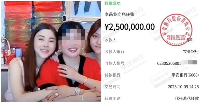海南省文昌市男子李昌業近日報案,指控蔡天鳳母親張燕花在五個多月內,以銀行賬戶被凍結及投資高回報項目等為由,先後騙取其高達2745萬元(人民幣,下同)