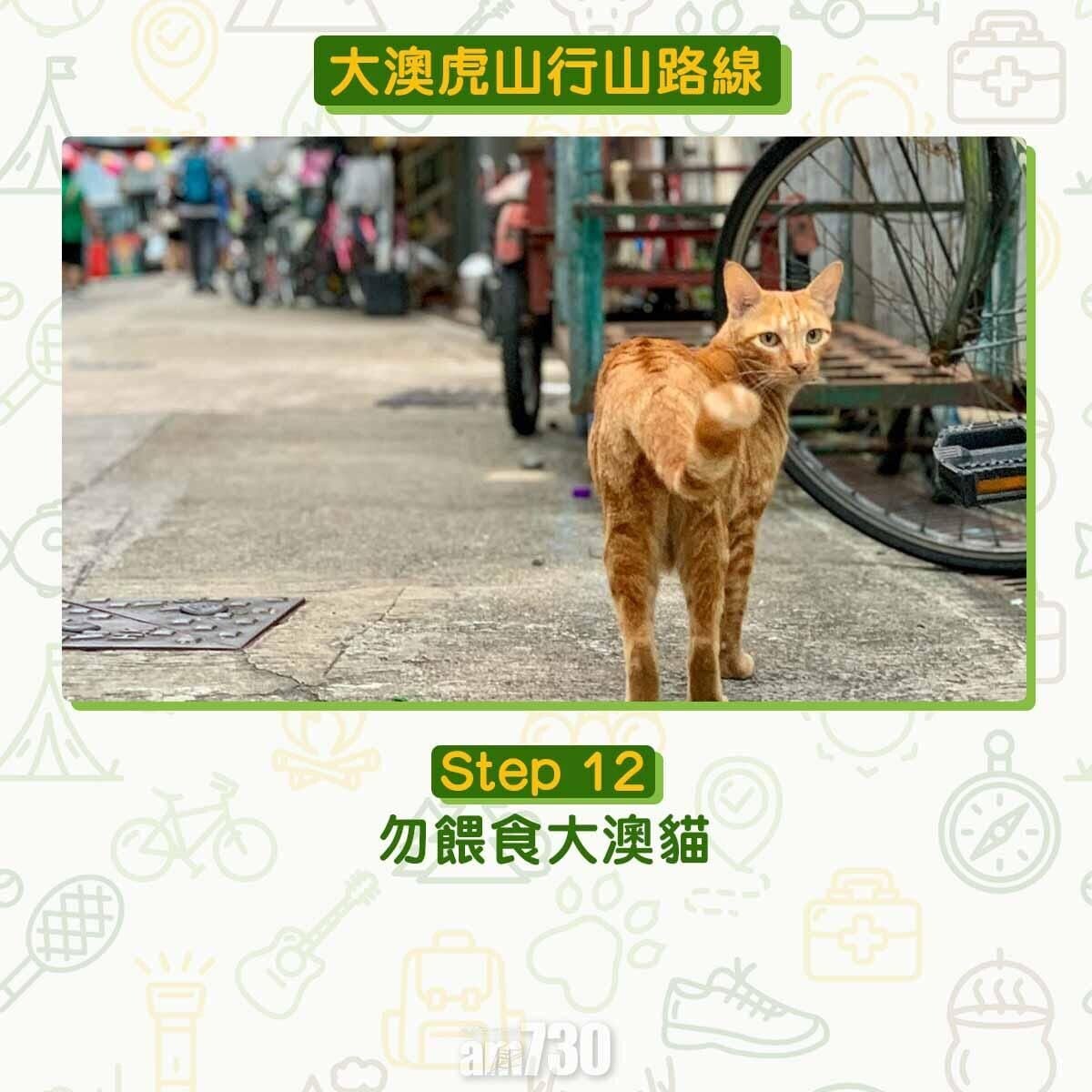 大澳虎山